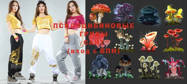 сатива Абаза