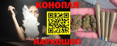 spice Обь