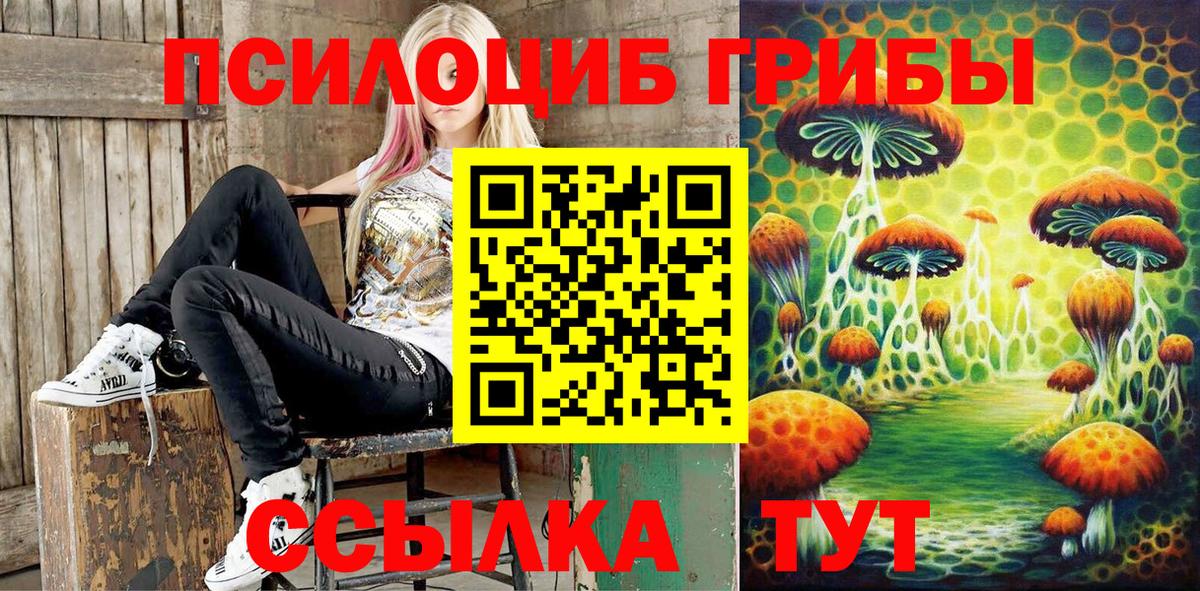 Галлюциногенные грибы GOLDEN TEACHER Хабаровск